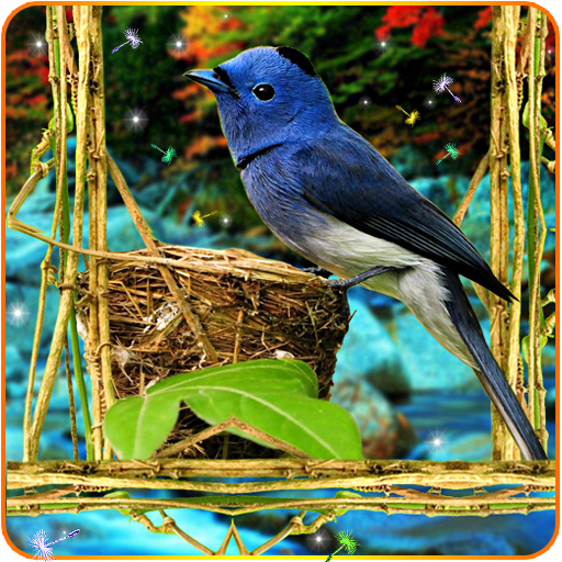 3D Birds Live Wallpaper for S5