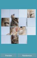 Cat game puzzle Affiche