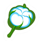 Cotton Accounting icon