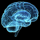 Brainy Quotes 2021 APK