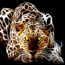 HD wallpaper ( NEW ) 2020 APK