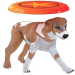 Frisbee Dog free