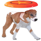 Icona Frisbee Dog free