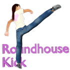 Roundhouse Kick free Zeichen