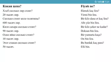 Турецкий язык - Самоучитель и Разговорник screenshot 6