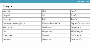 Турецкий язык - Самоучитель и Разговорник screenshot 3
