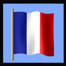 Уроки французского языка и разговорник APK