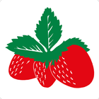 Böckmann Erdbeeren icon
