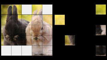 الأرانب HD مجموعة تصوير الشاشة 3
