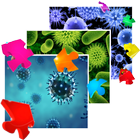 Bacteria Collection icône