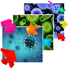 Bacteria Collection icon