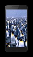 Penguins Live Collection स्क्रीनशॉट 3