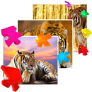 APK Tiger Puzzle Pro