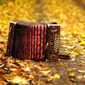 Accordion Ringtone