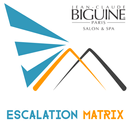 Jean Claude Biguine Escalation APK