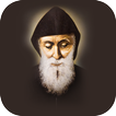 Saint Charbel Annaya