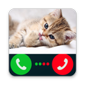 Fake Call Cat Prank