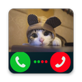 Fake Call Cat Joke