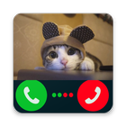 Fake Call Cat Joke ícone