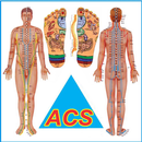 APK Acupressure