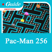 ”Guide for Pac Man 256