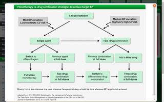 Hypertension guideline check screenshot 3