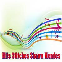 Hits Stitches Shawn Mendes poster