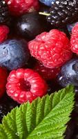 Fresh Berries HD Wallpapers Affiche