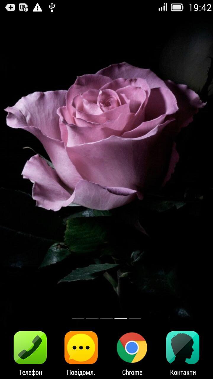 Rose Rose live wallpaper APK for Android Download