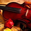 Violin Of Amour live wallpaper