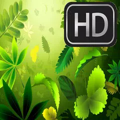 HD Wallpapers for Acer