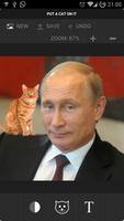 Put a Cat on it 截图 2