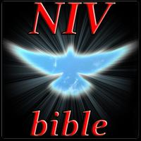 NIV Bible Study Free Affiche