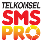 SMS Pro 아이콘