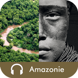 Amazonie icône
