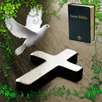 Catholic psalms APK