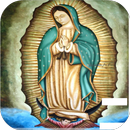 La Virgen de Guadalupe II APK