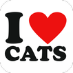 I Love Cats