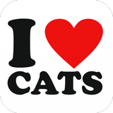 I Love Cats icône