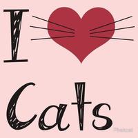 I Love Cats Affiche