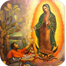 Las Vírgenes  Guadalupe APK