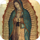 La Guadalupana APK
