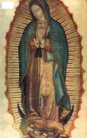 La Guadalupana Affiche