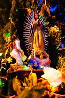 La Guadalupana 스크린샷 1