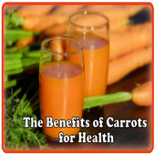 The Benefits Of Carrot icon