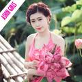 Vietnamese Girls - Ashin Girls Baby