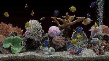 Marine Aquarium 3.3 PRO screenshot 1