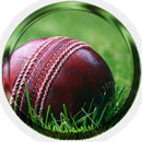 Cricket Ball aplikacja