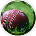 Cricket Ball biểu tượng