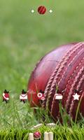 Cricket Ball bài đăng